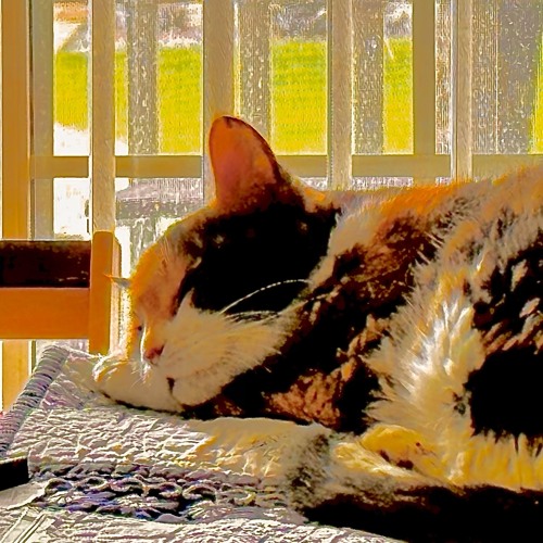 Louise went on to heaven