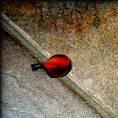 Birraña - Caesar´s Palace