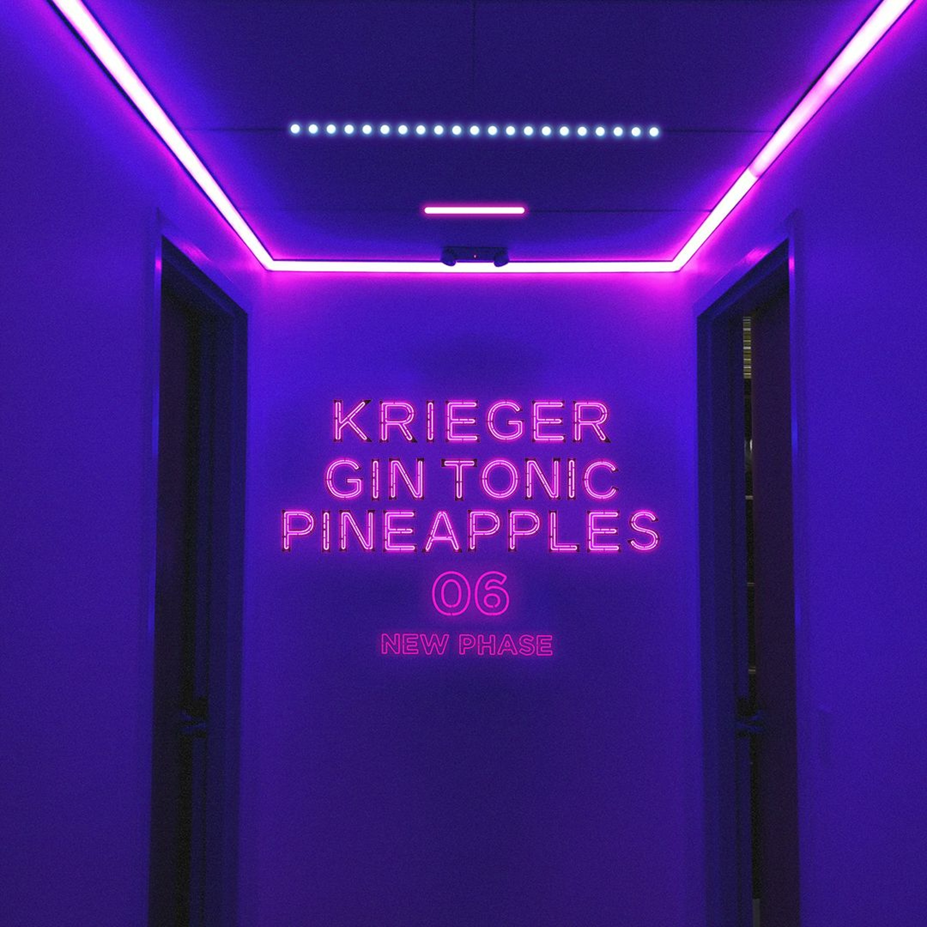 gin tonic & pineapples