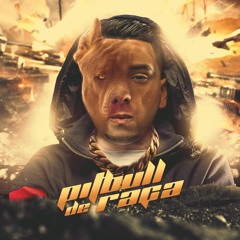 DJ GUUGA = PITBULL DE RAÇA Part MC INDIA ((DJGUUGA))