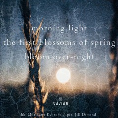 Boson Spin - Morning light [naviarhaiku367]