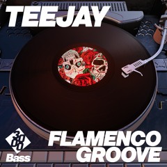 TeeJay - Flamenco Groove (Preview) [Out Now]