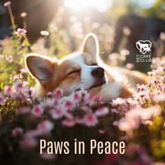 Peaceful Sounds for Pampered Pets