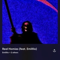 RealHomies
