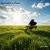 Artwork for Improvisation in A-minor