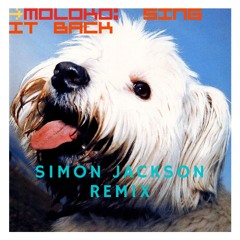 Moloko - Sing It Back (Simon Jackson Remix)