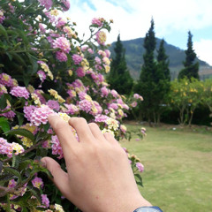 Menepi - Ngatmombilung Cover