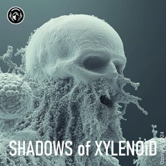 SHADOWS Of XYLENOiD
