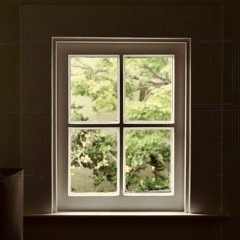 Window B