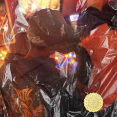 LIGHTS CAMERA ACTION