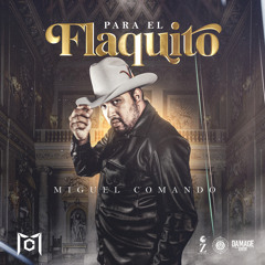 Para el Flaquito