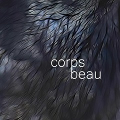 Corps beau