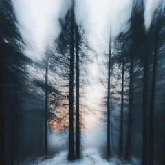 Winter (cinematic | neo classic)