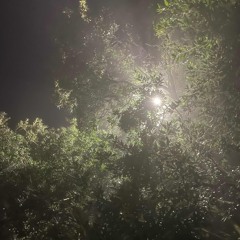 don’t cry, valentine.