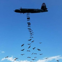 Techno Troglo Festival Essais 01