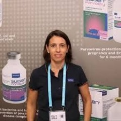 Dra. Adriana Drocco 271124