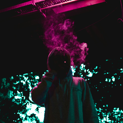 Catch A Vibe