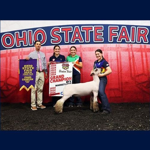Stream 2024 Ohio State Fair Grand Champion Market Lamb Ava Shroyer Of Stream 2024 Ohio State Fair Grand Champion Market Lamb Ava Shroyer Of