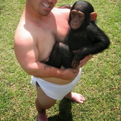 Earthquake ft sorcbird