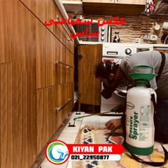 نحوه سمپاشی ساس چگونه است؟