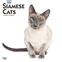 READ PDF 📂 Siamese Cats | 2023 12 x 24 Inch Monthly Square Wall Calendar | BrownTrou