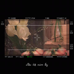 Đầu Hạ Năm Ấy - Nhậm Nhiên | 那年初夏- 任然 (如此可爱的我们 Ost)