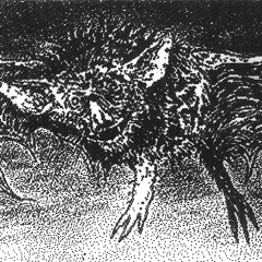 Nyxterides (συμμ. πύον)