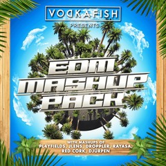 VODKAFISH & Friends 2021 EDM Mashup Pack