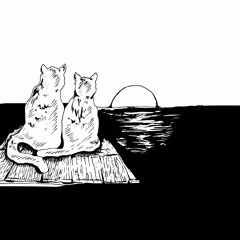 can you see the things i'm seeing?