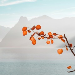 Somatic Breathing for Grounding