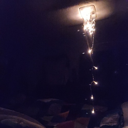 ForestDies (prod me)