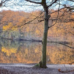 Hip Hop R&B Jazzy Soul Peregrinations February 2025 #93