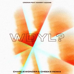 WDYL? (CharlieWonder & Cheeks Remix)