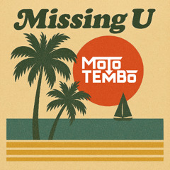 Missing U