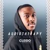 Audiotherapy - Guest Mix #017 - Cleido DJ mix artwork - Electronic music tracklist cover image