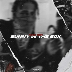 Bunny In The Box