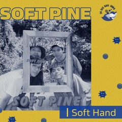 Soft Pine - Soft Hand