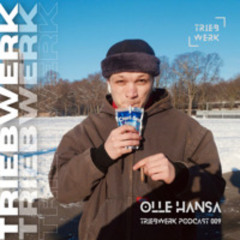 Triebwerk Podcast 009 // Olle Hansa (hybrid)