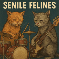 Senile Felines