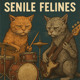 on Senile Felines