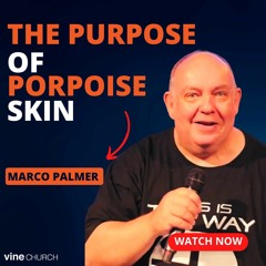 Marco Palmer - The Purpose of Porpoise Skin | 12/11/2023