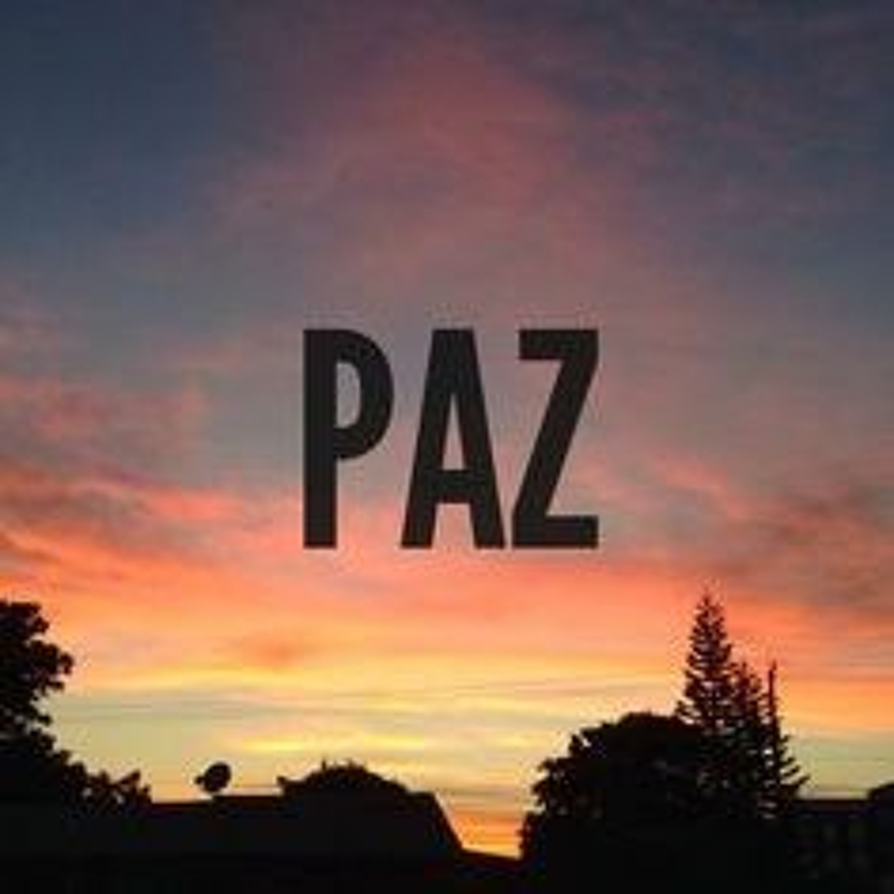 Fraternidade em Ação