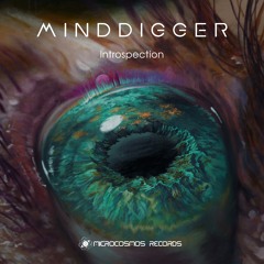 Minddigger - Introspection (Pulsarum Remix)