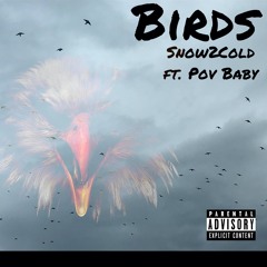 Birds Snow2cold (feat POV BABY)
