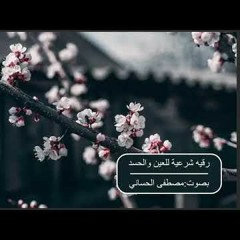 آيات للوقاية من السحر والعين والحسد | القارئ مصطفى الحساني