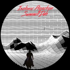 PREMIERE. Summit Dub - Isotonic Projection (Lorin's Move Me Mix) [Restless Planet Records]