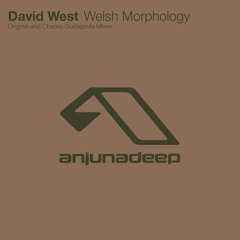 洋楽 David West - Welsh Morphology 12\