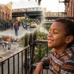 Brownstone Steps & City Dreams (STBB978)