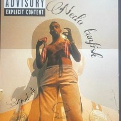 hallo Mikkel mister [Nedo Tunfisk] -prod Eli