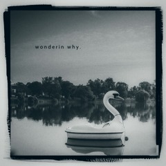 Wonderin' Why (prod. Nuxe)